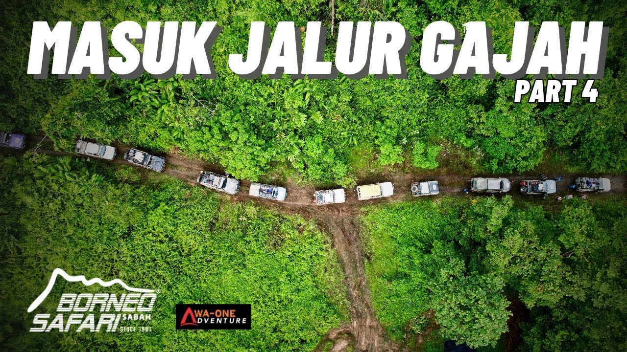 PART 4 | MASUK JALUR EXTREME BORNEO SAFARI 2025 | WA-ONE ADVENTURE 