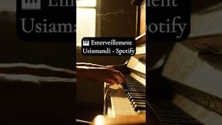 Emerveillement - Usiamandi #pianiste #pianistemasque #musiqueinstrumentale #piano #usiamandi
