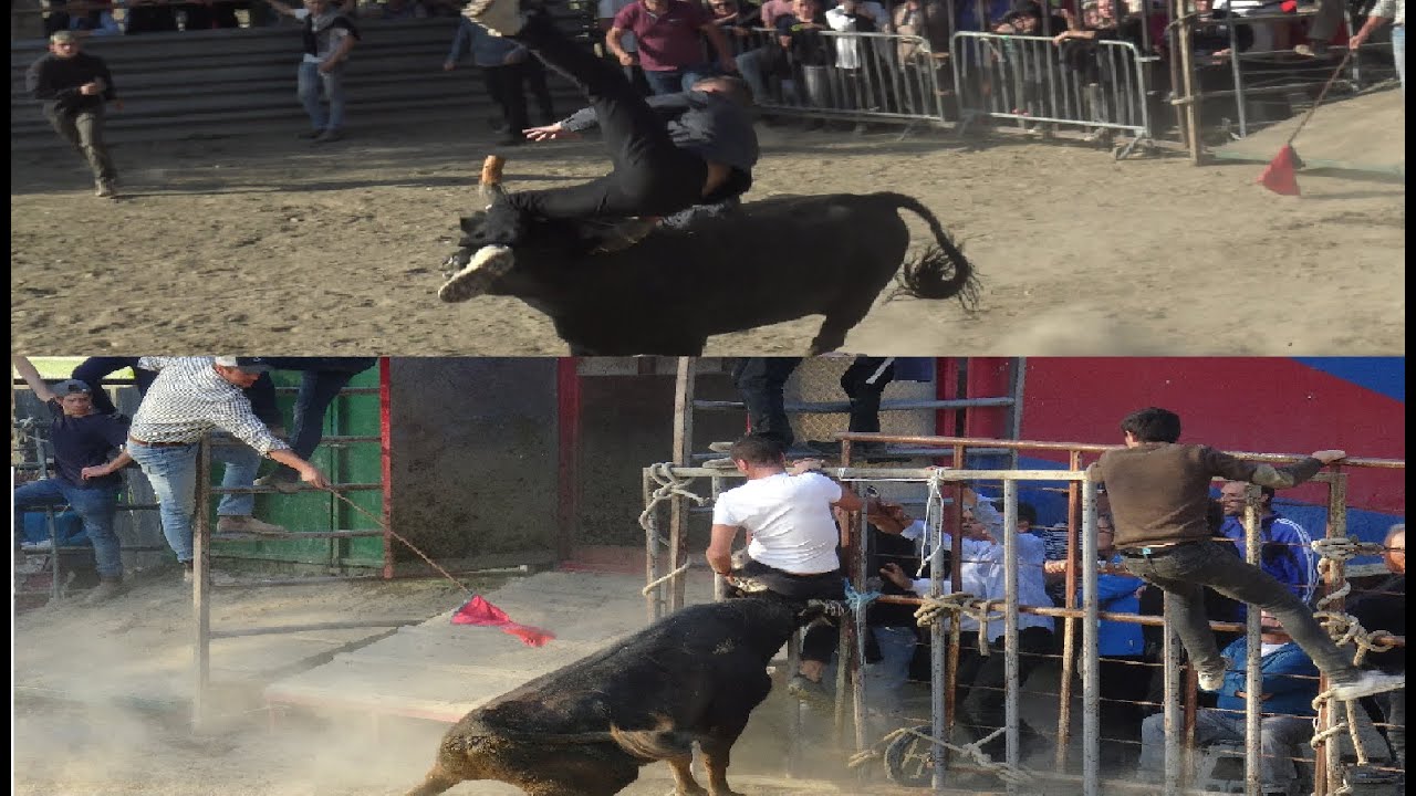 CODOGNAN CHEZ ROBERT H JOURNEE TAURINE 24.10.2021