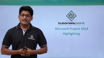 MS Project 2013 - Highlighting