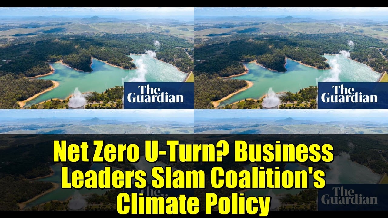 Net Zero U-Turn? Business Leaders Slam Coalition's Climate Policy