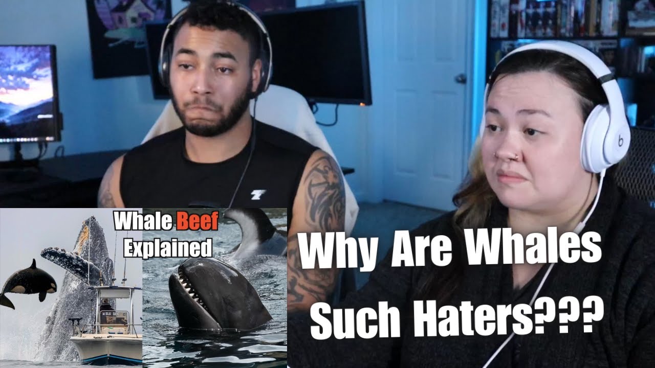 OtakuCouple Reacts to The Science Behind the Gang Wars of Whales (Casual Geographic)