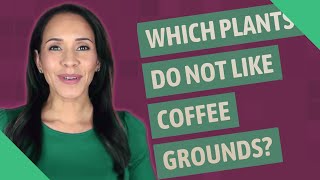 Which plants do not like coffee grounds?