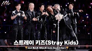 🏆AAA 베스트 아티스트 스트레이 키즈 (AAA Best Artist | Stray Kids)🏆