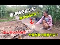 重庆发现神奇的地火村，地上冒火60多年都不熄灭，究竟是为什么？【青云迹】