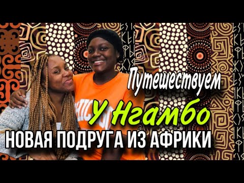 Едем в Казань и в Москву ✰ у нас новые друзья