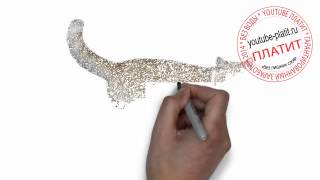 Нарисованные карандашом коты Как нарисовать любопытную кошку Нарисованные карандашом коты Как нарисовать любопытную кошку