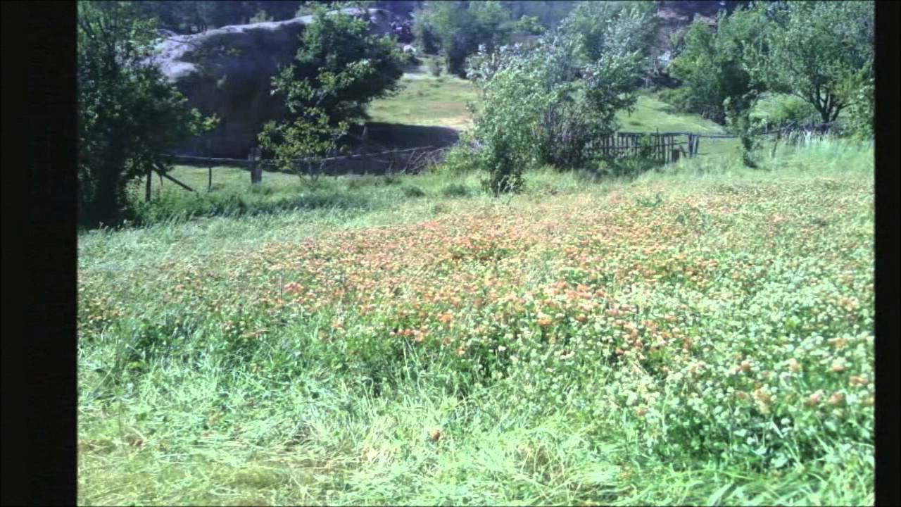 kütahya simav çamlık köyü