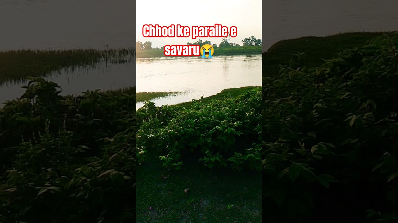 Chhod ke paraila e savaru😭😭# shorts