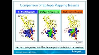 Epitope Mapping in Antibody Therapeutics and Vaccine Development (Webinar)