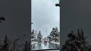 Zaqatala Balakən Qax Turları. 0502414917