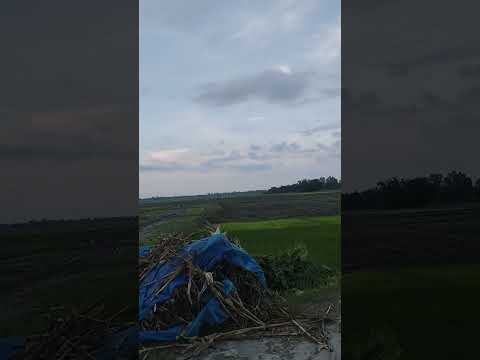 গ্ৰামের দৃশ্য