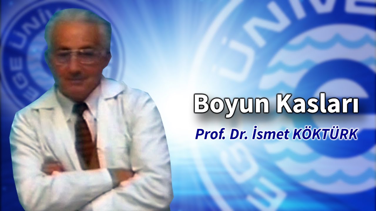 Anatomy Neck Muscles - Prof. Dr. İsmet Köktürk (Anatomi Boyun Kasları)