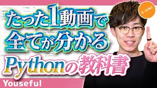 【データサイエンスはじめの一歩】Python入門講座！基本構文そして頻出エラーまで、初手で知りたいことを網羅した初学者向け講座【たった1動画で全てが分かるPythonの教科書】