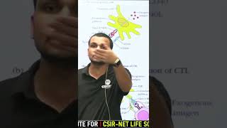 Part B Pointer | Cross Presentation | CSIR NET Life Sciences | #target70marks #immunology #antigen