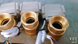 A20-T25-B2-C CR703 DN25 1 inch brass motorized valve A20-T25-B2-C CR703 DN25 1 inch brass motorized valve