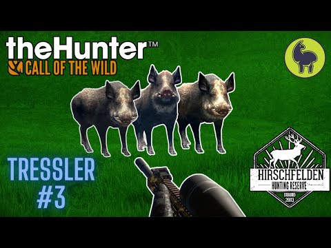 Tressler #3 Hirschfelden | theHunter: Call of the Wild (PS5 4K)