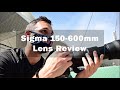 Sigma 150-600mm Contemporary Review by Billie Weiss