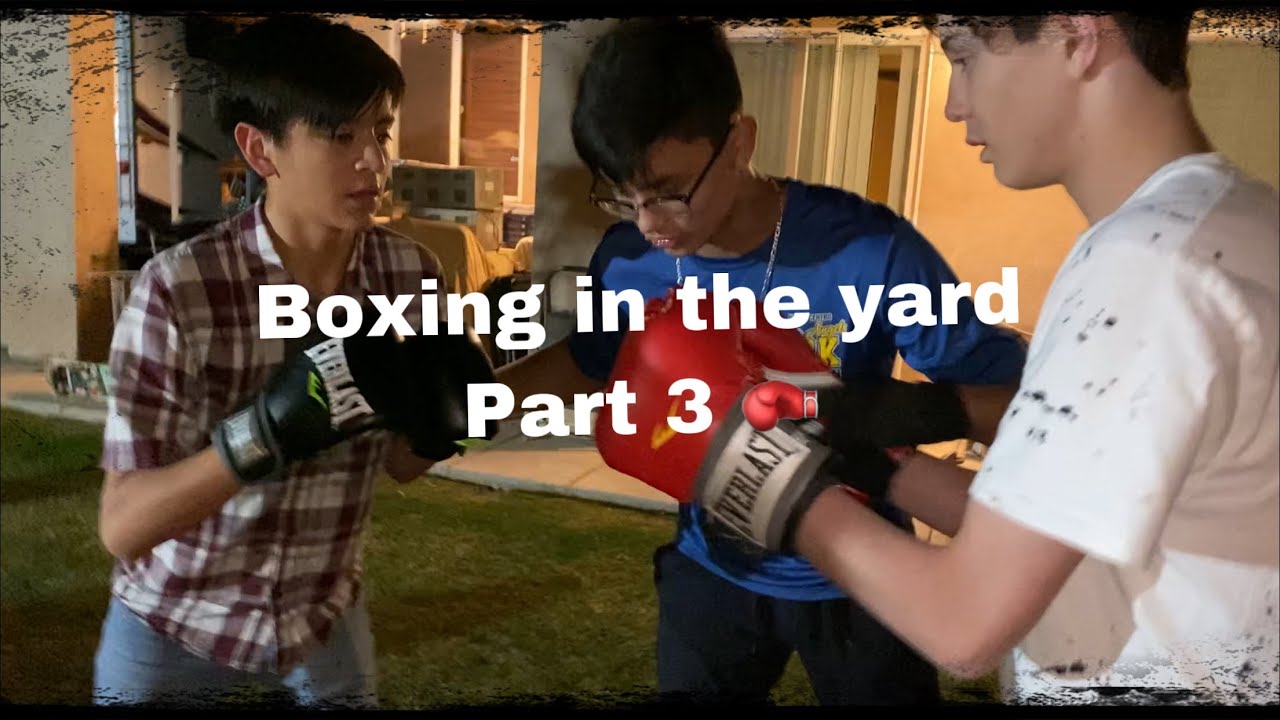Boxing in the yard (Part 3) YouTube
