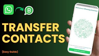 How to Transfer Contacts to WhatsApp Business screenshot 4
