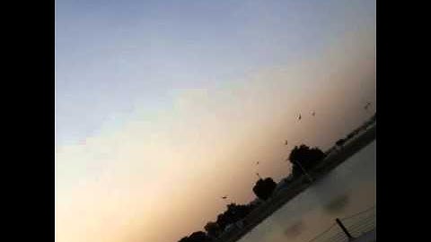 سورة الفاتحه بصوت شجي