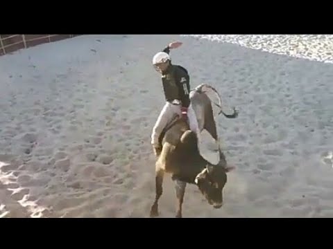 TREINO 3 TURVELÂNDIA-GO camera iphone 8 plus apk