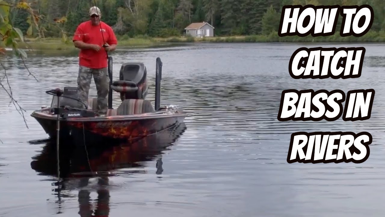 HOW TO CATCH BASS IN RIVERS- Baits, Rods & Tactics - YouTube