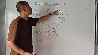 Co dominance , incomplete dominance , multiple allelism ( Principle of inheritance)