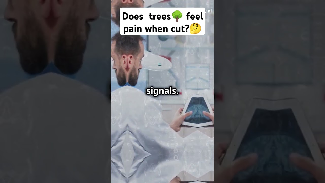 Does  trees feel pain when cut?Do Trees Feel Pain?