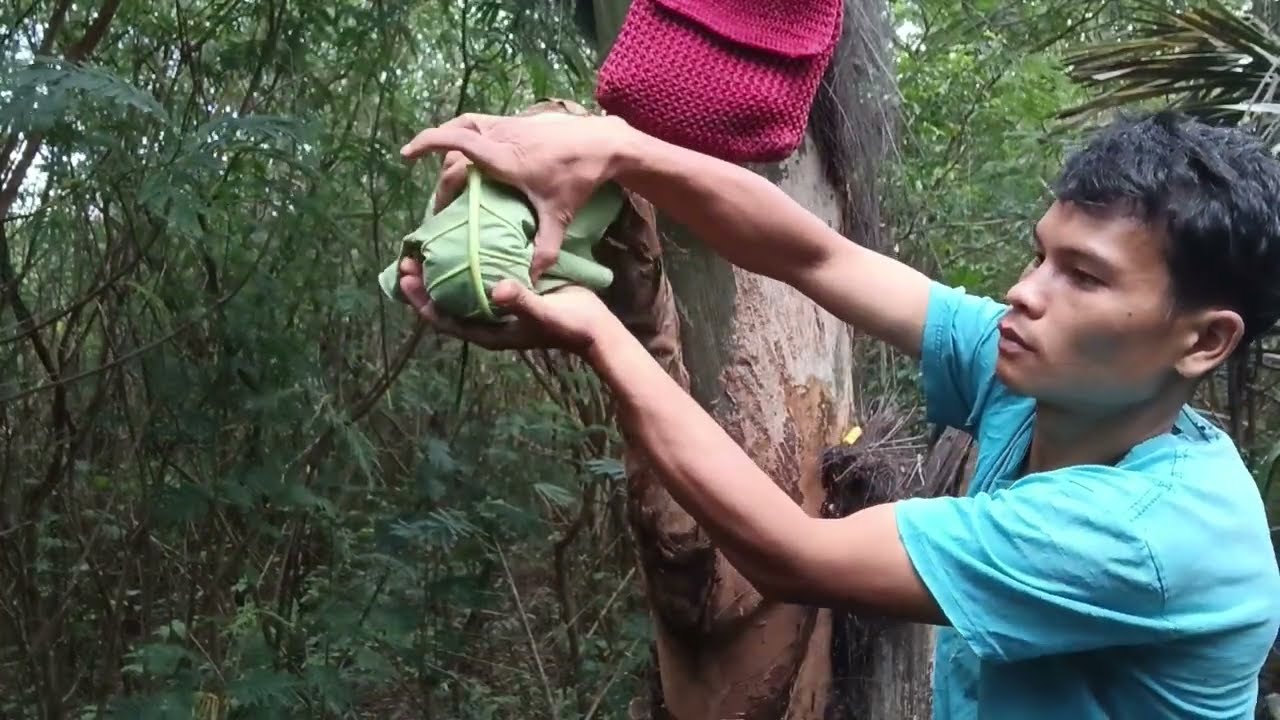 Gula Aren Asli: Proses Pemotongan dan Pemeraman Manggar Aren yang Menghasilkan Manisnya