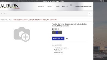 Issue: Odoo add to cart and price is zero