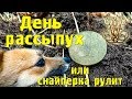 День рассыпух или снайперка рулит. Коп 2019. Квазар АРМ #коп #коп2019 #КопUA