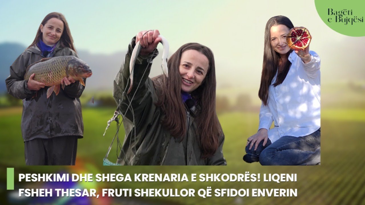 Peshkimi dhe shega KRENARIA e Shkodrës! Liqeni fsheh THESAR, fruti shekullor që sfidoi Enverin