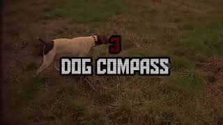 5 Dogs That Saw Something Their Owners Couldn't See  ESP and the Supernatural (2018)