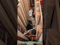 Construction Formwork: Building a Mold for Concrete Walls