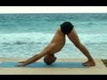 Hatha Yoga: Surya Namaskar - Sun Salutation