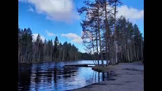 Observations At Asmalampi Meditation Station, 12 Frames Per Second