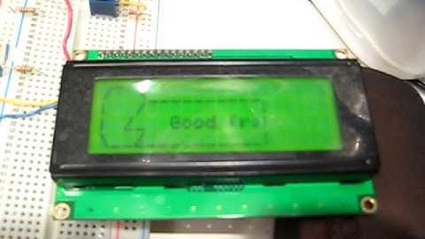 Digital Fortune/Cookie