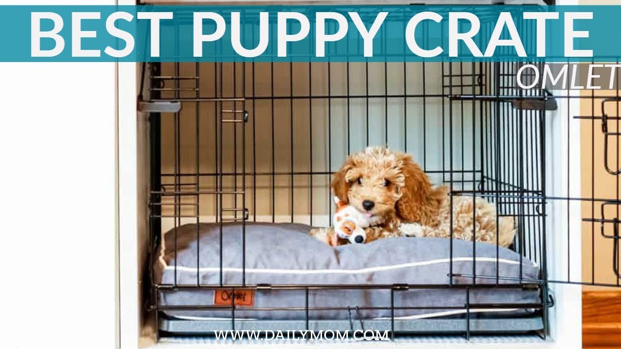 Omlet Dog Crate DAILY MOM YouTube