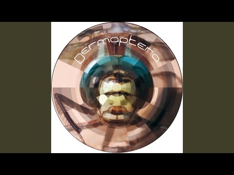 Dermaptera — A