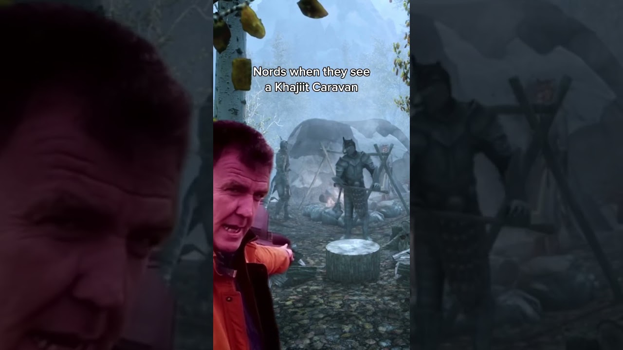 Khajiit slander on a monday 😢