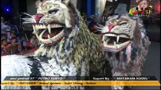 Download Lagu MARS PAMBUKO SENI BUTO GEDRUK 37 PUTRO SURYO JDM MP3