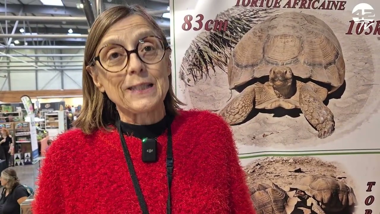 ⁣𝟰𝟮𝗧𝗩 Event | ReptiCabl 2025 : immersion au salon des reptiles et animaux exotiques