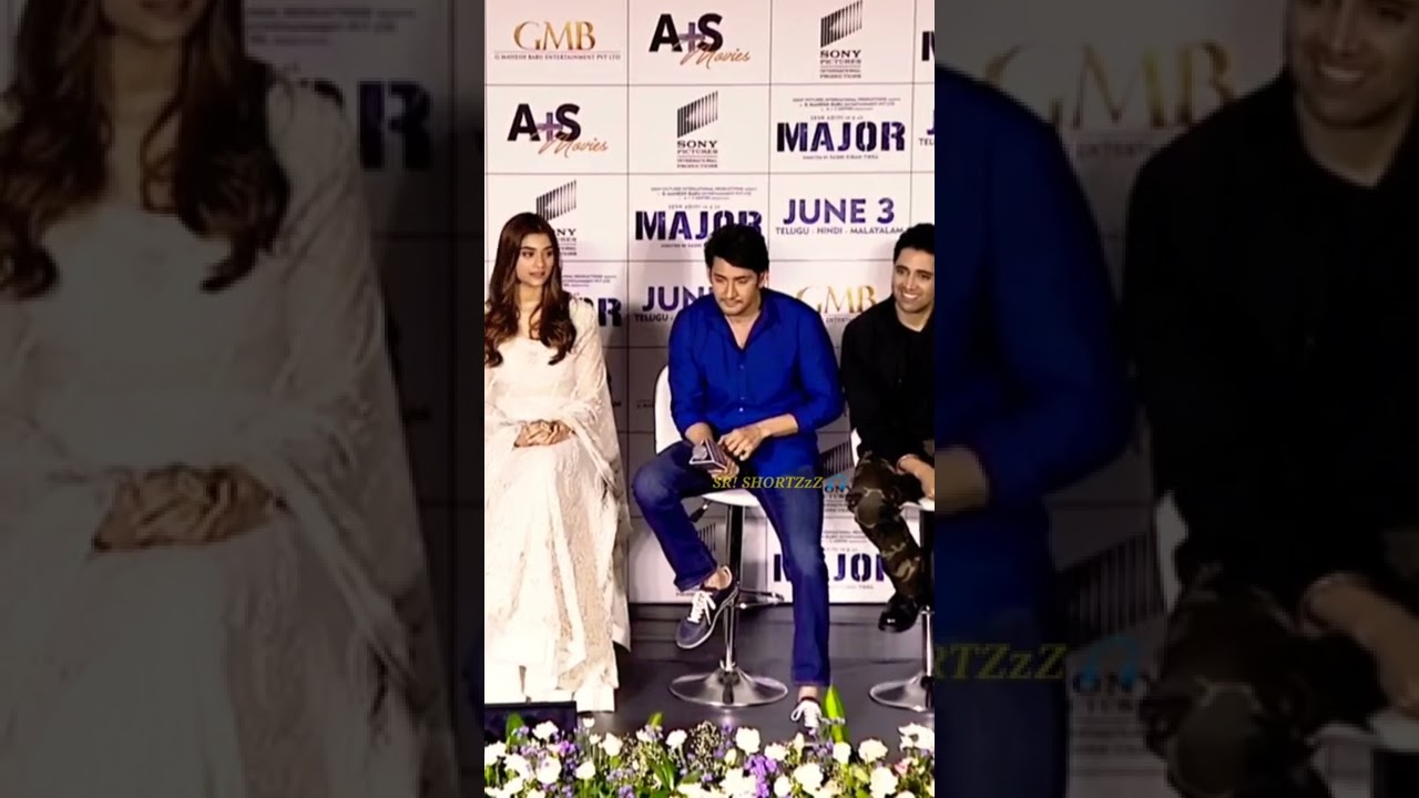 Mahesh Babu Superb 👊 punch to Hindi Reporter 