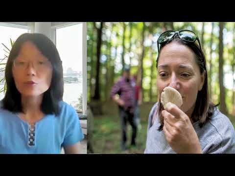 How to determine if a mushroom is poisonous? Machine Learning Exercise. 怎么判断蘑菇有没有毒-机器学习的练习 Episode cover