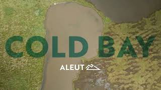 Cold Bay