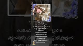 Status   Waves Of Christ  Csc De Paul Media Ministry 2024