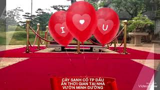 MD367 TP DẤU ẤN THỜI GIAN