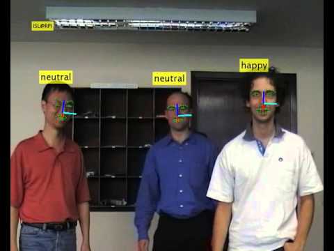 Facial landmark tracking, expression analysis, and head pose estimation.