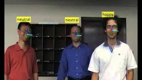 Facial landmark tracking, expression analysis, and head pose estimation.